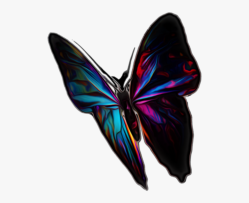 Butterfly Insect Summer Free Picture - Brush-footed Butterfly, HD Png Download