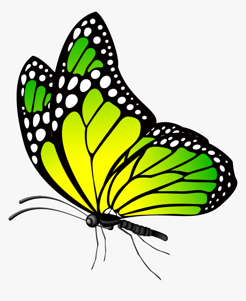 Portable Network Graphics, HD Png Download