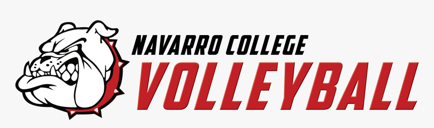 Oval, HD Png Download