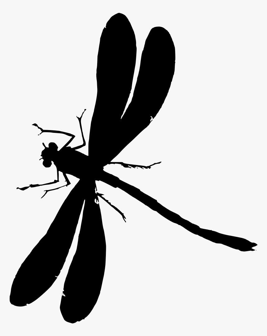 Dragonfly, HD Png Download