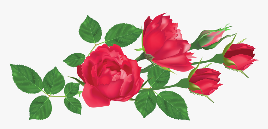 Roses Roses Png - Rose And Leaf Png, Transparent Png