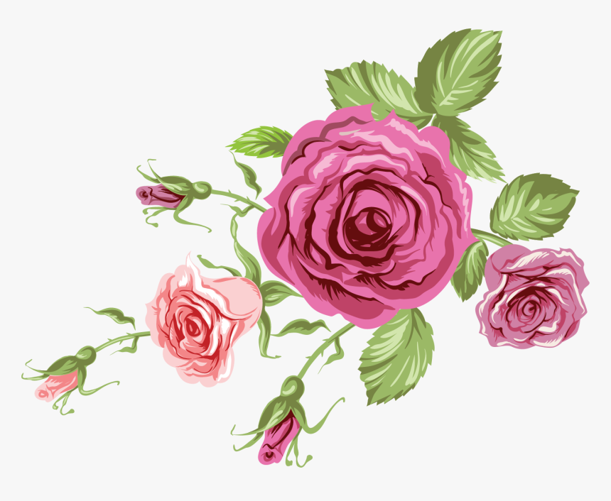 Floribunda, HD Png Download