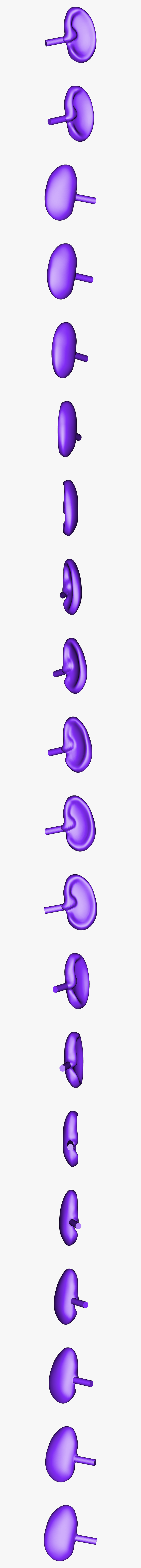 Clip Art, HD Png Download