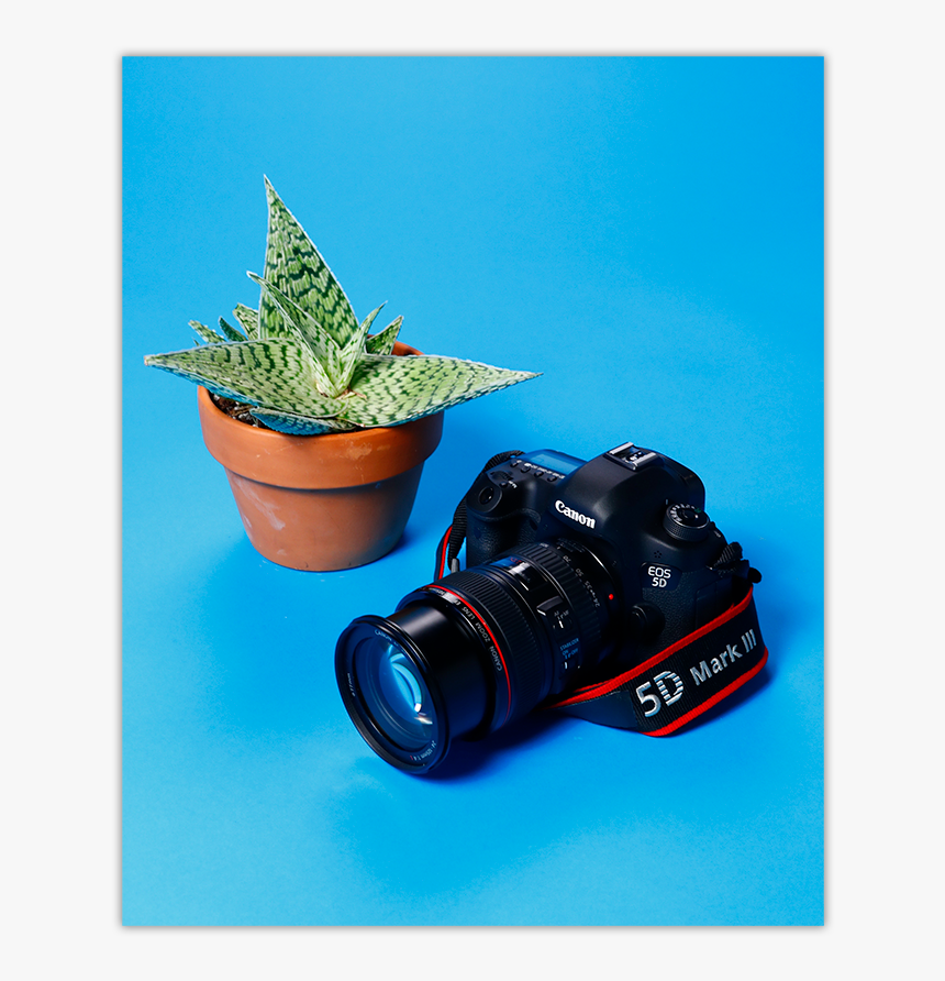 Camera Lens, HD Png Download