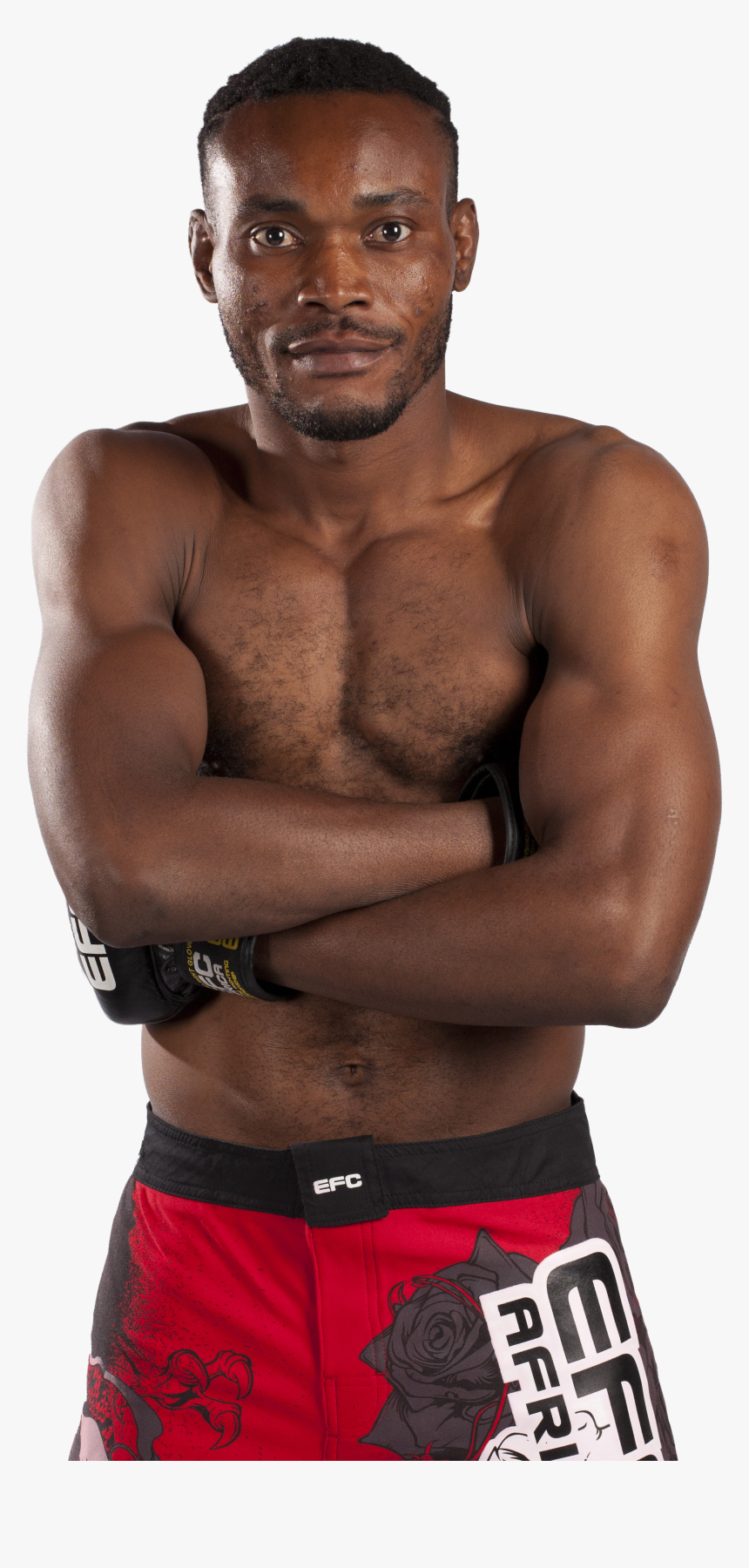 Expected Family Contribution, HD Png Download