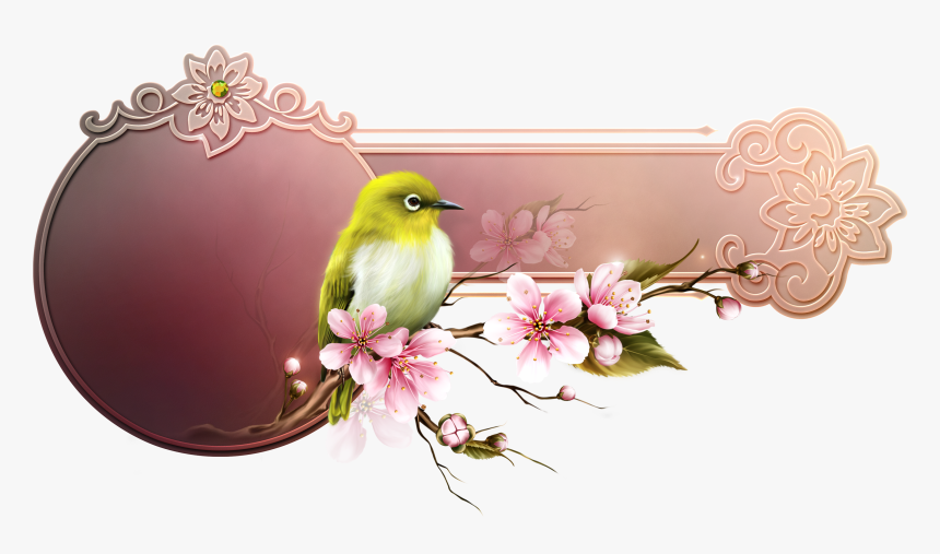 Hd Transparent Clipart Png Cherry Blossom Barnali Bagchi, Png Download