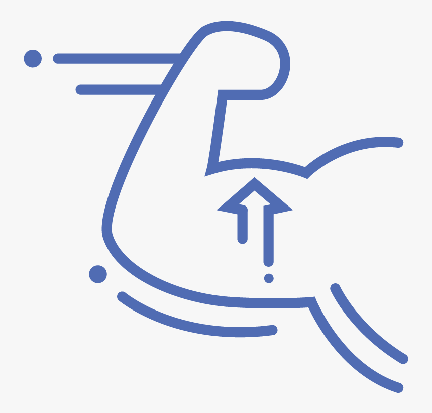 Transparent Weightlifting Png, Png Download