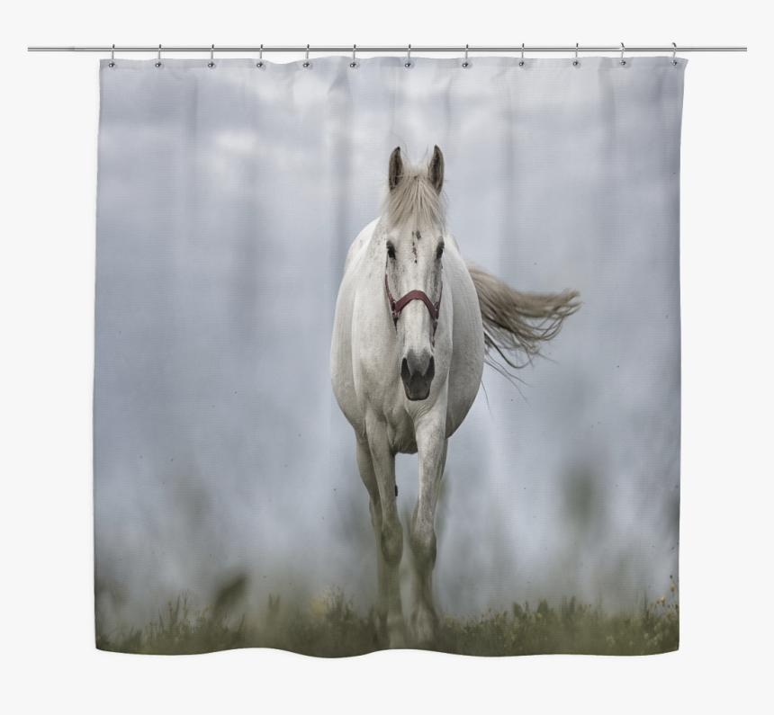 Mane, HD Png Download