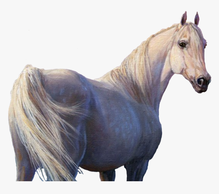 #horse #horses #unicorn #unicorns #whitehorse #white - Белая Лошадь Фото, HD Png Download