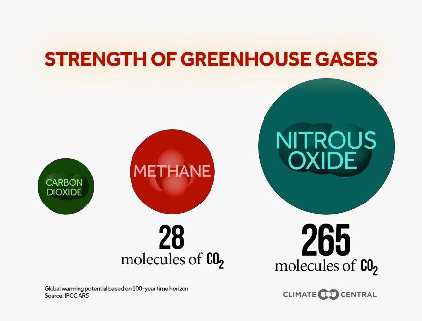 With A Title • Without - Greenhouse Gases Strength, HD Png Download