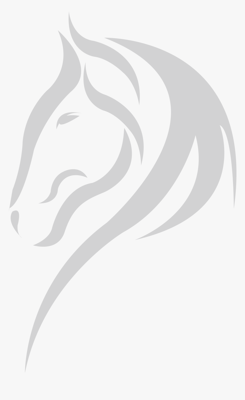 Horse Background Png Wite, Transparent Png