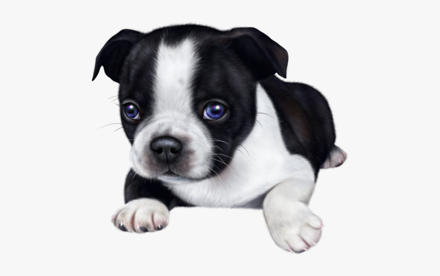 Dog, HD Png Download