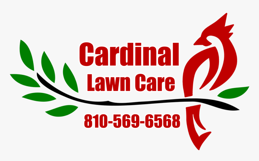 Picture - 48 Hour, HD Png Download