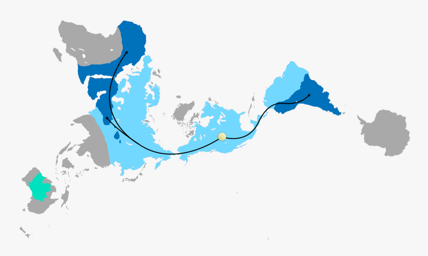 Global Camelid Distribution And Migration - High Resolution Dymaxion Map, HD Png Download