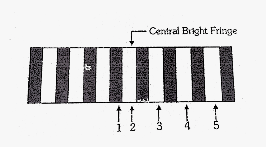 Zebra Crossing, HD Png Download
