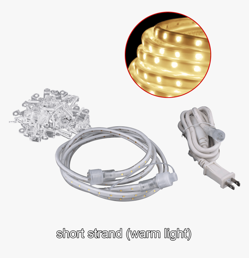 Circle, HD Png Download