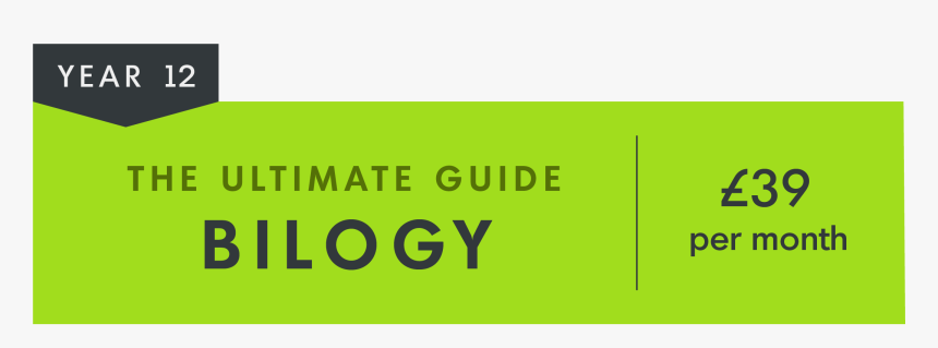 Greater Than, HD Png Download