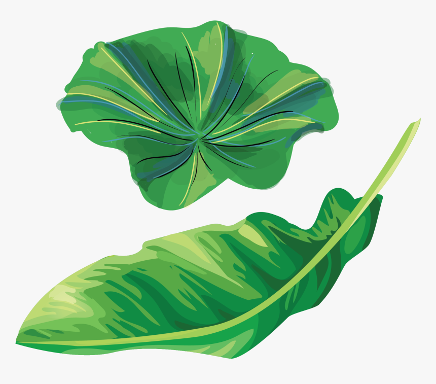 Banana Leaf Illustration Clipart , Png Download Banana Leaves