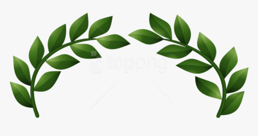 Transparent Background Laurel Wreath, HD Png Download