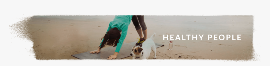 Russell Terrier, HD Png Download