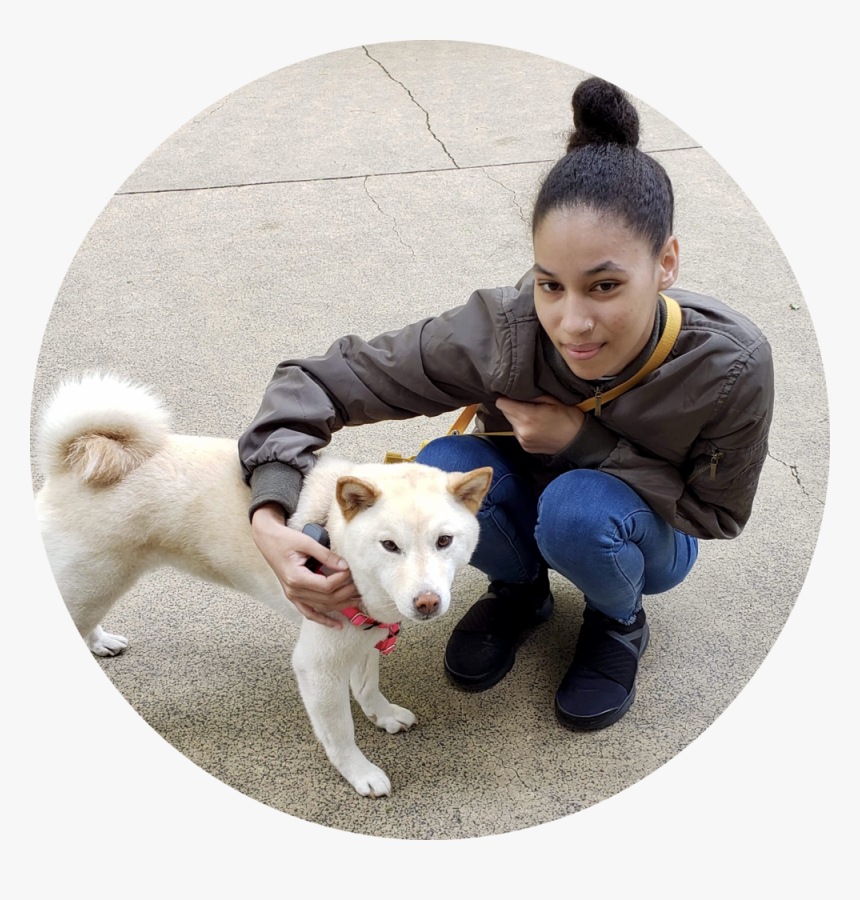 Transparent People Walking Dog Png - Kishu, Png Download