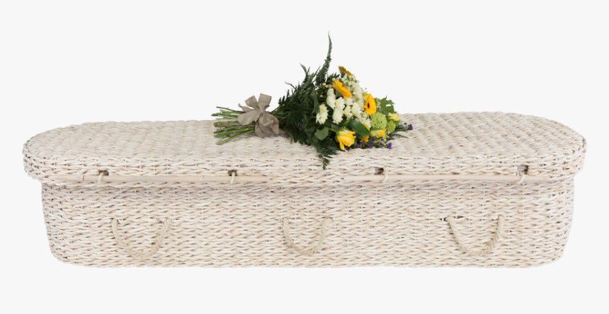 Chrysanths, HD Png Download