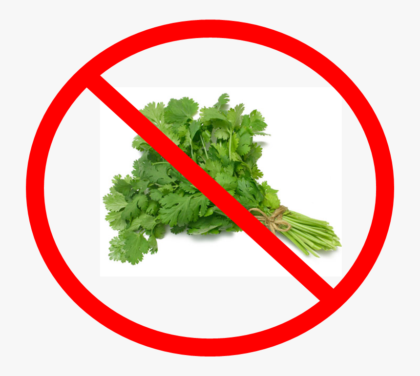 Say No To Cilantro - Coriander Leaves, HD Png Download