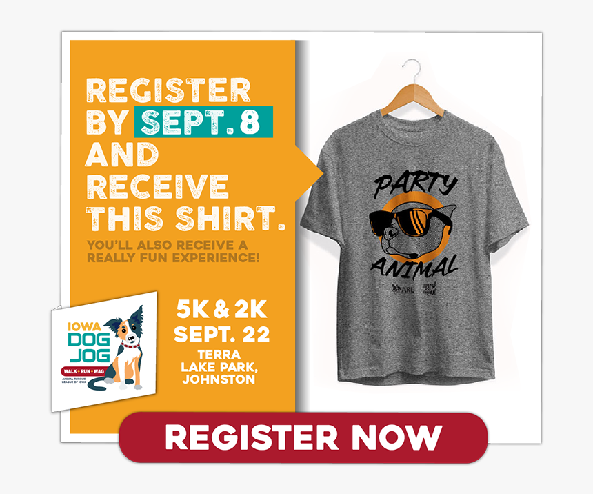 Gentoo Penguin, HD Png Download