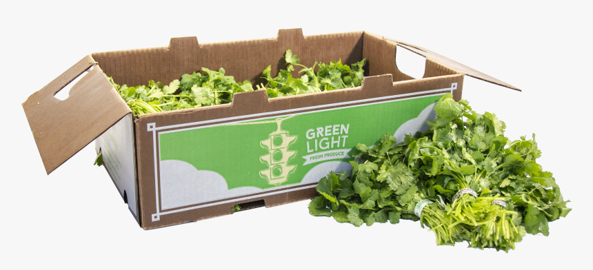 Spring Greens, HD Png Download