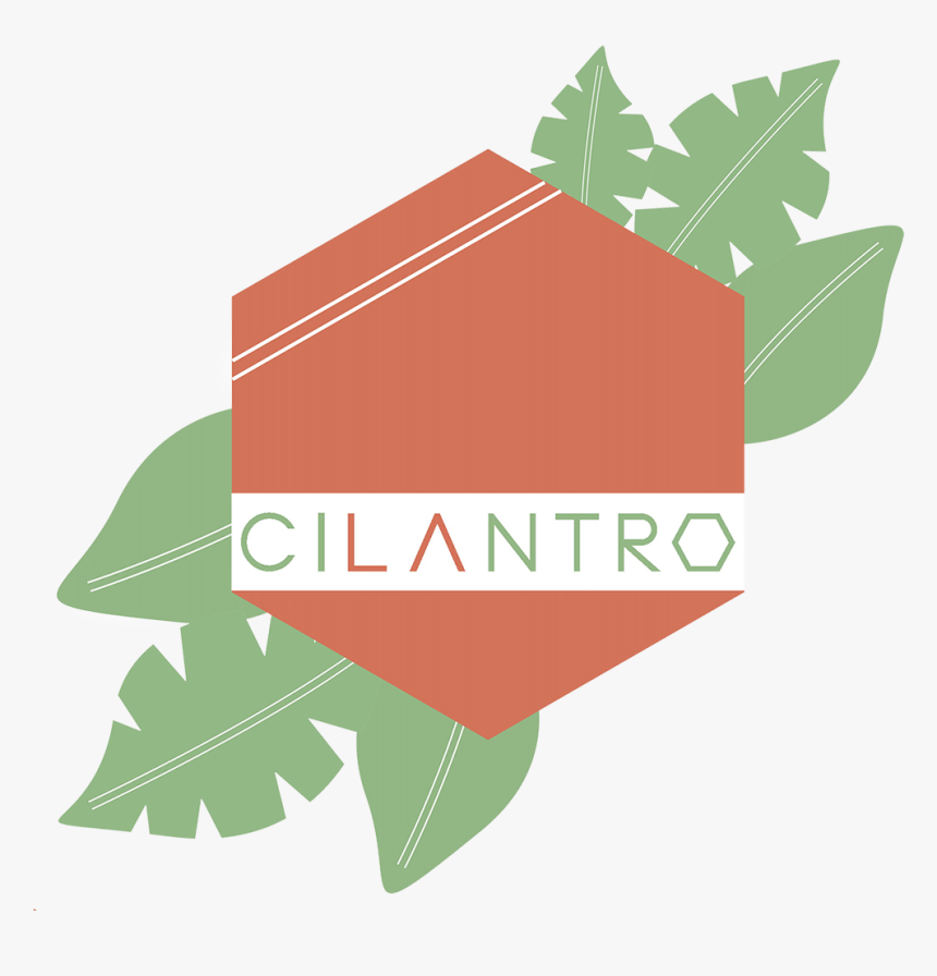 Cocina Cilantro - Maple, HD Png Download