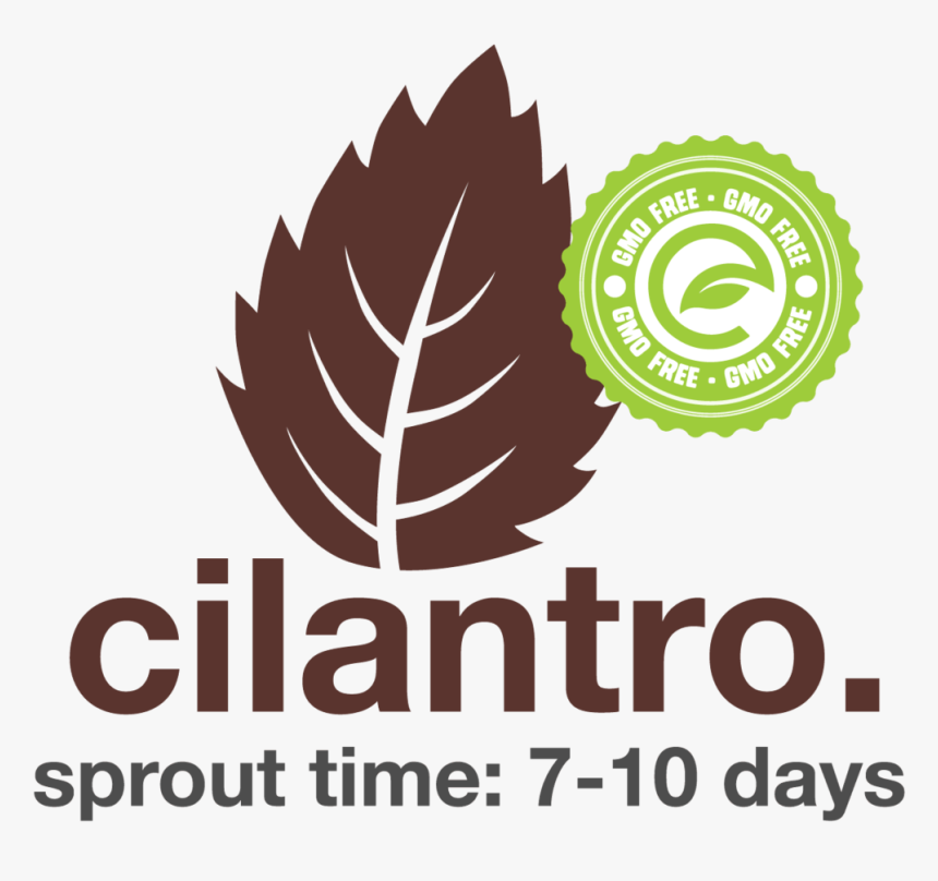 Notre Dame Seal, HD Png Download