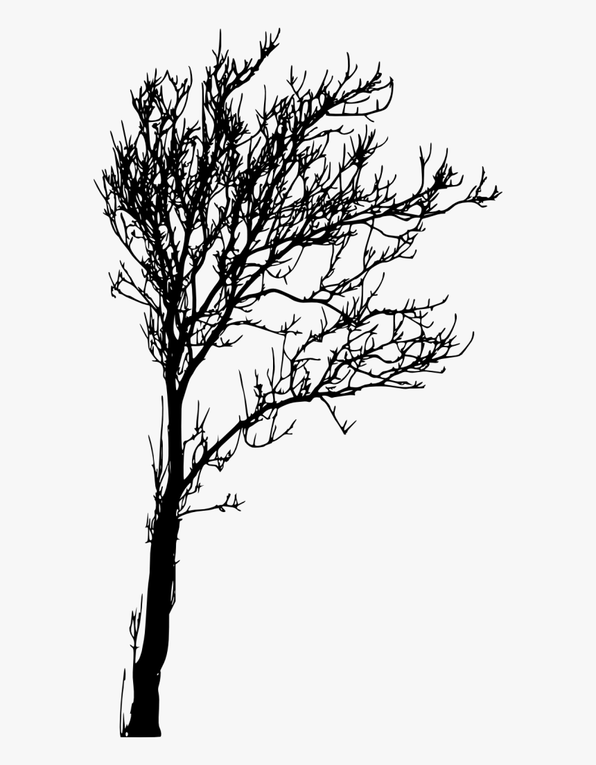 Silhouette Tree Images Png, Transparent Png