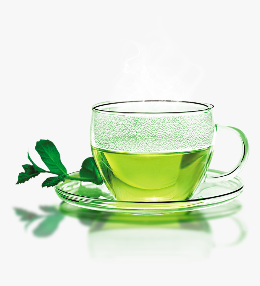 Green Tea Longjing Tea White Tea Flowering Tea - Glass Green Tea Cup, HD Png Download