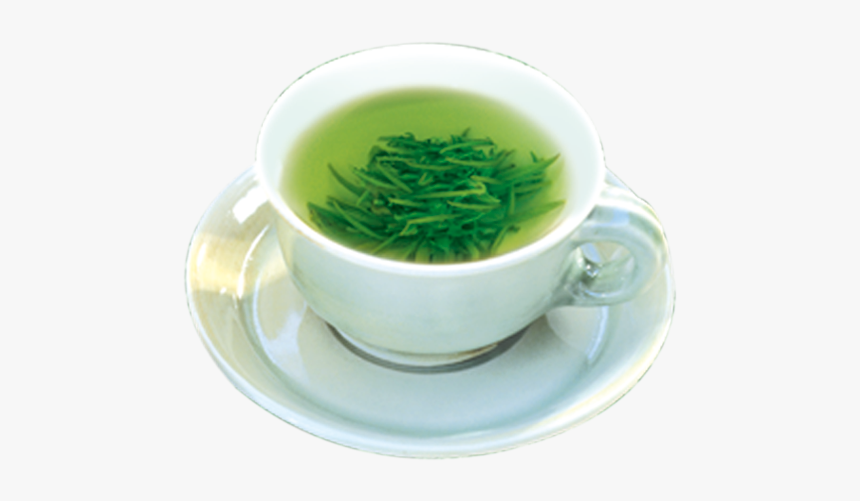 Green Tea Teacup Gratis - Cup, HD Png Download