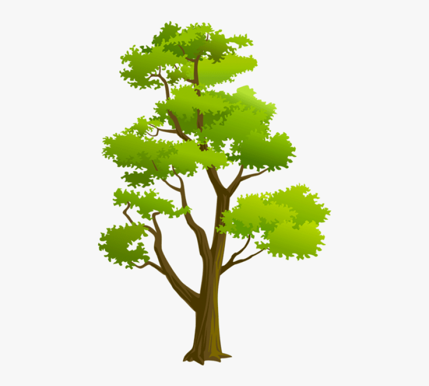 Free Png Download Tree Png Png Images Background Png - High Resolution Text Png, Transparent Png