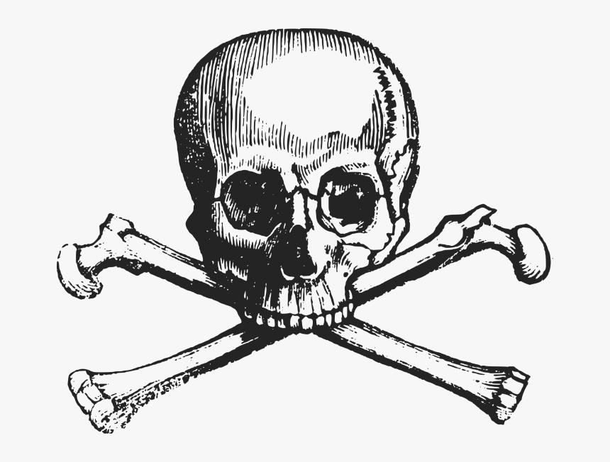 Transparent Cross Bones Clipart - Skull And Cross Bones Clipart, HD Png Download