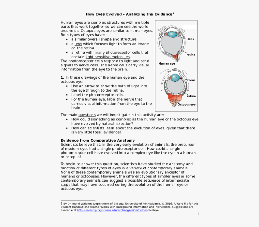 Screenshot, HD Png Download