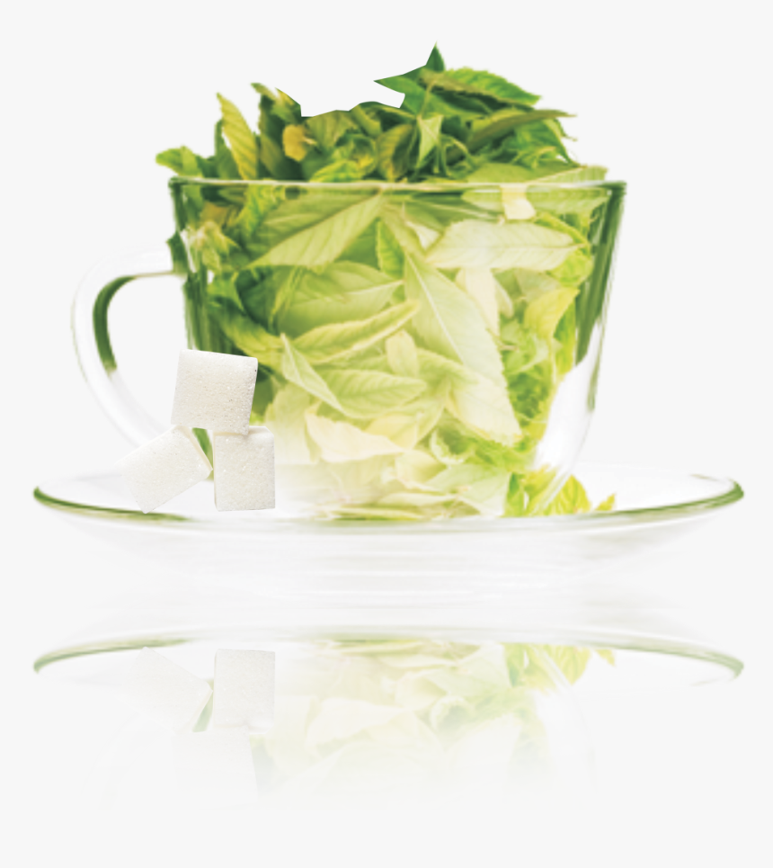 Stevia Green Tea , Png Download Acidity In Tea Investigatory Project