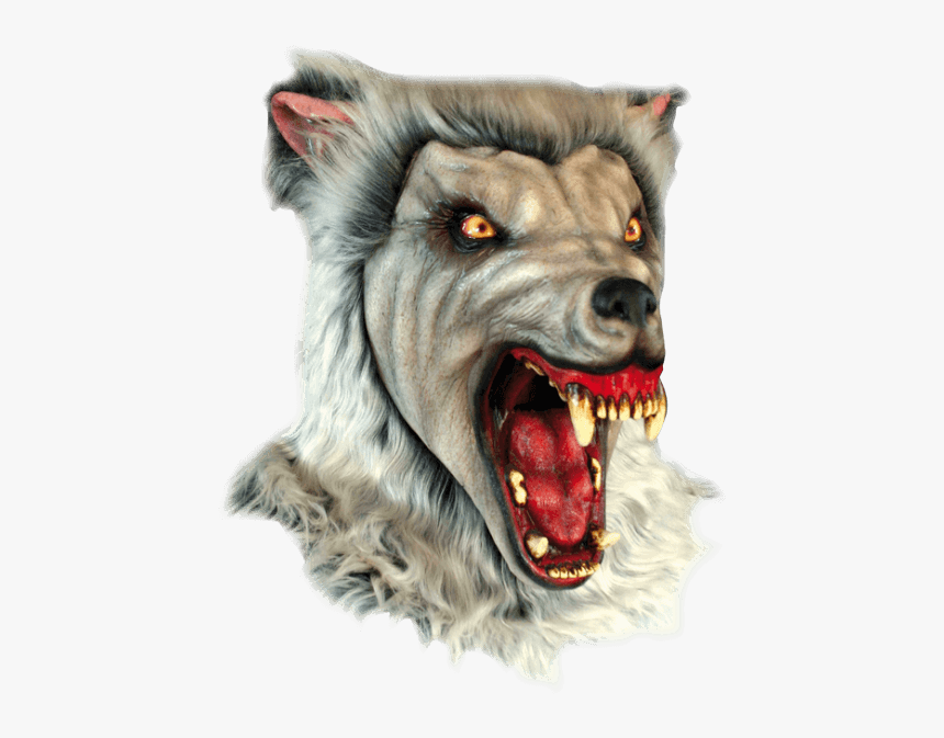Snow Wolf Mask - Mascara Hombre Lobo Png, Transparent Png