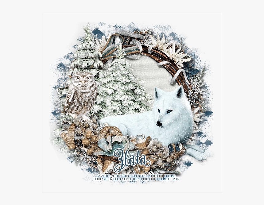 Arctic Fox, HD Png Download