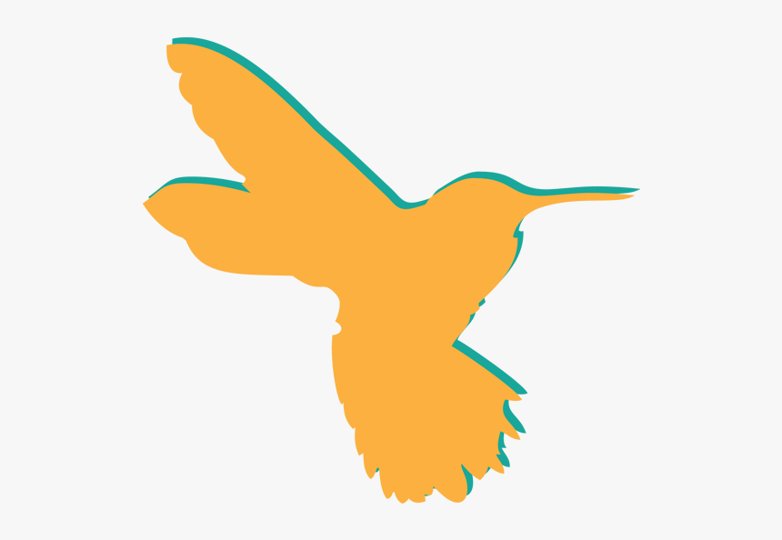 Hummingbird, HD Png Download