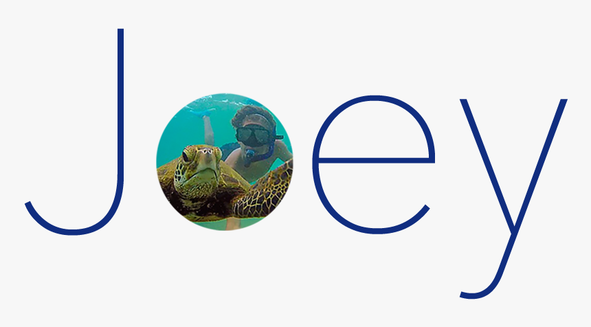 Joey - Lacerta, HD Png Download