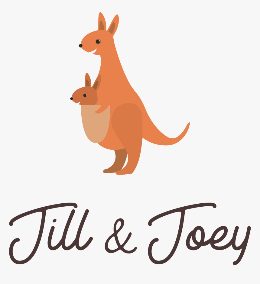 Kangaroo, HD Png Download