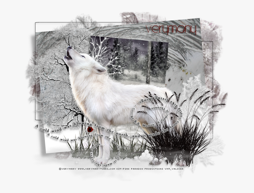 Wolfdog, HD Png Download