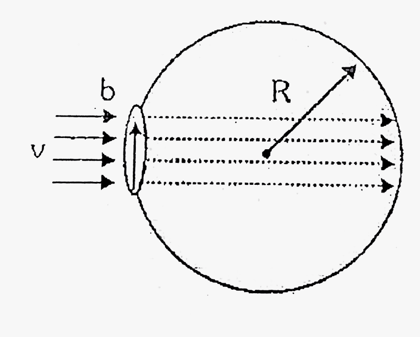 Circle, HD Png Download