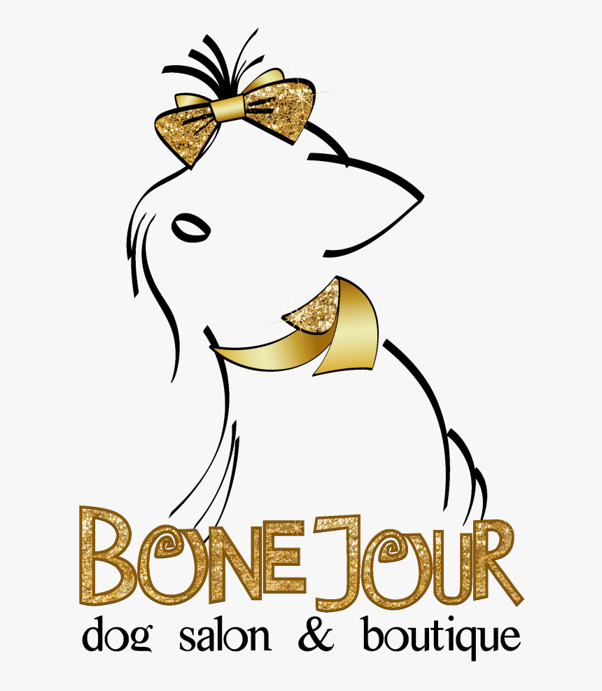 Bone Jour Cage Free Dog Grooming & Daycare - Extremadura Turismo, HD Png Download