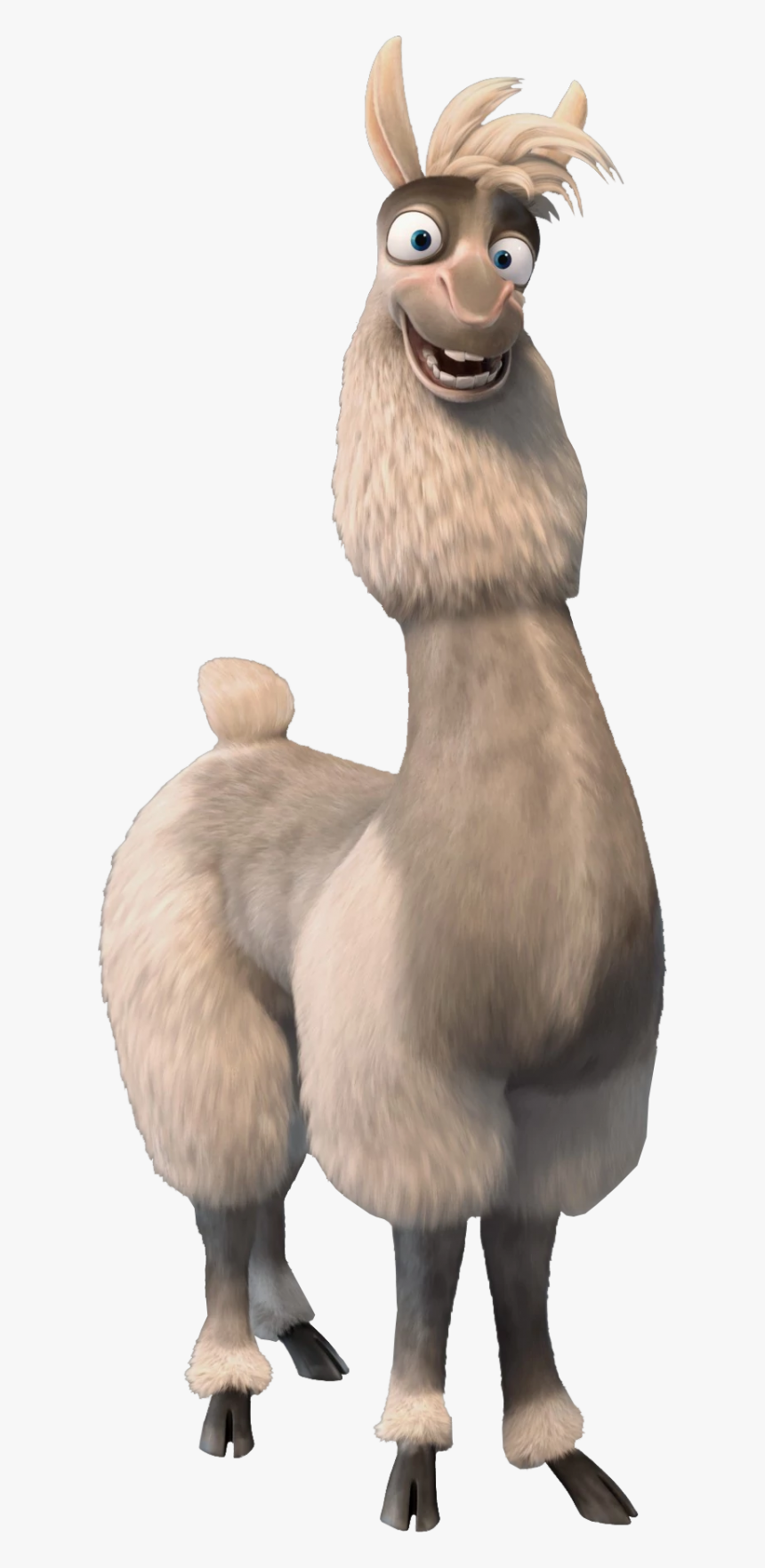 Alistair - Open Season Llama Argentina, HD Png Download