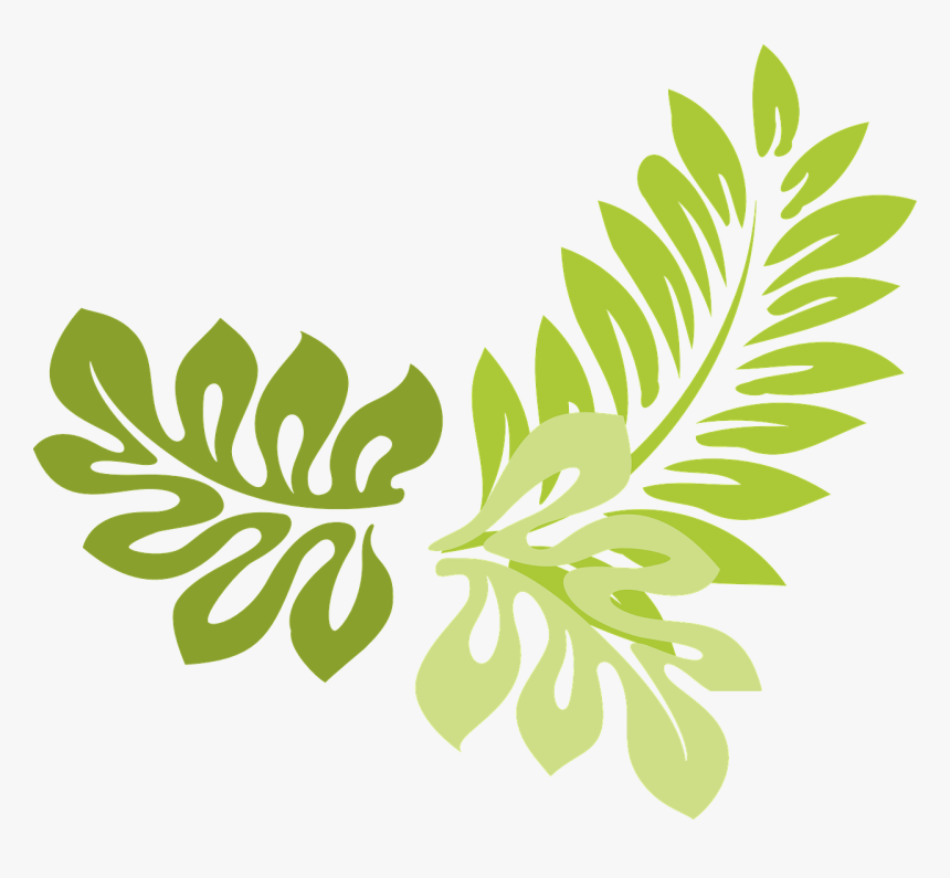 Leaves Border Design Transparent, HD Png Download
