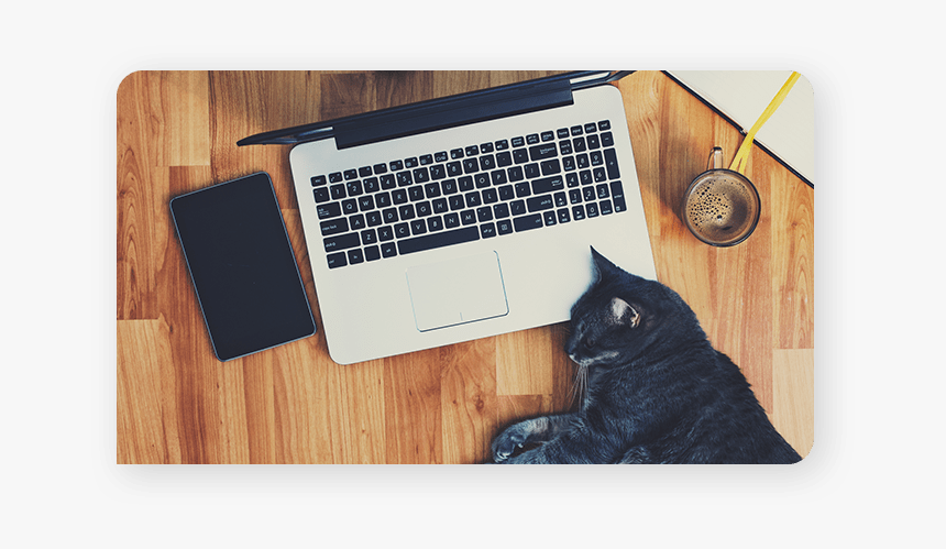 Black Cat, HD Png Download