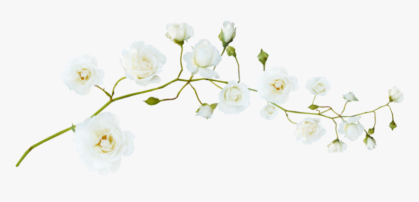 #flores #floresedit #floreskpop #recursos #overlays - Beyaz Çiçek Png, Transparent Png